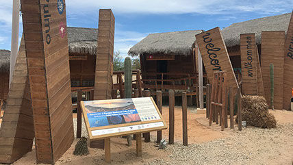 cabo pulmo reef preservation